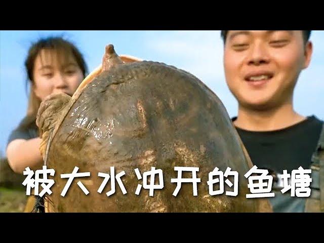 【戶外捕魚vlog】發現一口被大水沖開的魚塘，去裏面放地鉤，沒想到裏面的貨這麼大...#三農 #甲魚