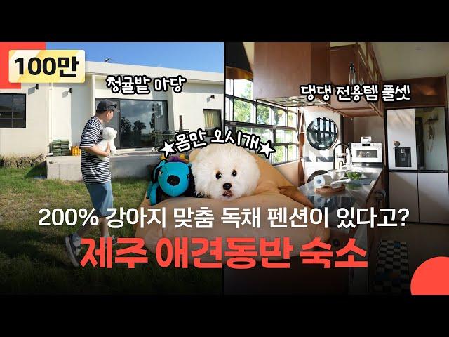 [Event] For dogs' satisfying stay! Rental cottage in Jeju [Another House: Anseong Gangsaengi House]