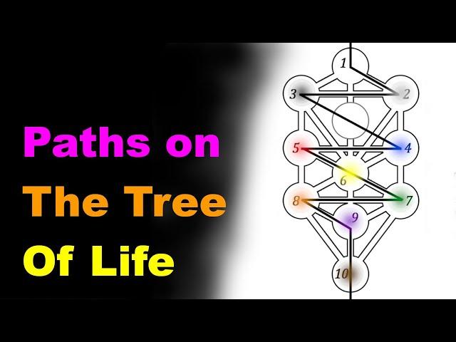 Paths on the Tree of Life [Esoteric Saturdays]