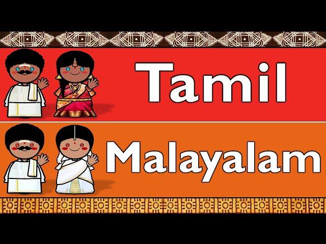 DRAVIDIAN: TAMIL & MALAYALAM