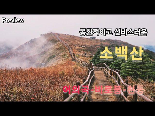 열대 원시림같은 몽환적이고 신비스러운 소백산 우중산행-1 | 한국의 알프스 소백산(4K)(2024.10.19)| Life in Korea Vlog ㅣTravel in Korea