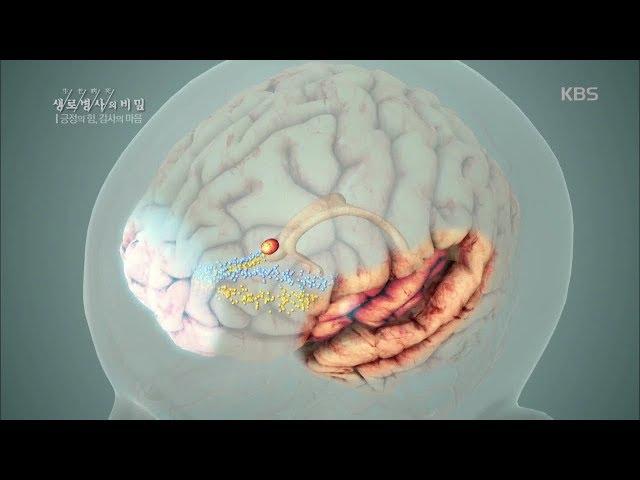 과학적으로 알아보는 긍정의 힘
