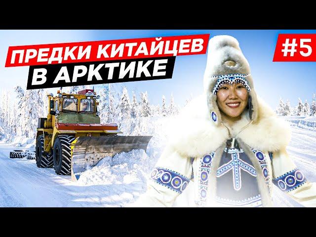 КАК ДЕЛАЮТ ЗИМНИК, ДОРОГИ АРКТИКИ. КАК ЖИВУТ ЭВЕНКИ СЕВЕРНЫЕ НАРОДЫ. ПУТЕШЕСТВИЕ ПО ЯКУТИИ ЗИМОЙ. #5
