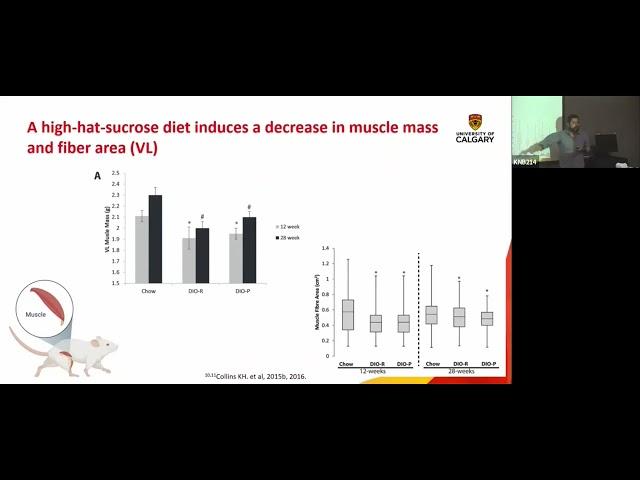 Aerobic capacity protect the musculoskeletal system in a diet-induced obesity model?  by M. Delgado