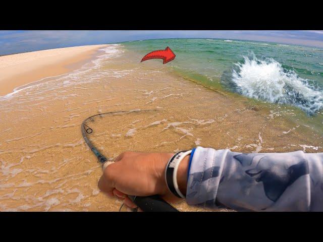 I Caught the MOST IMPOSSIBLE Fish to Find on the Beach!!