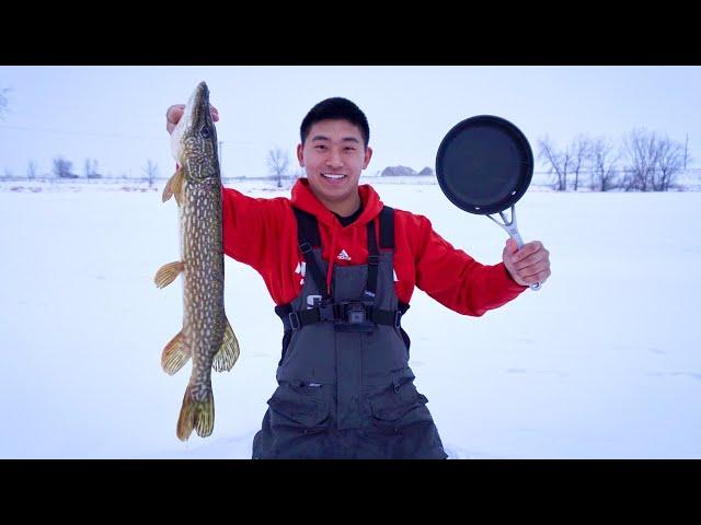 Northern Pike CATCH CLEAN COOK ON THE ICE!