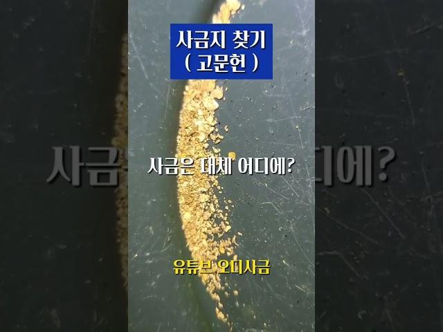 사금은 대체 어디에? 사금채취 장소 찾는 방법 소개(고문헌) #사금 #사금채취 #gold