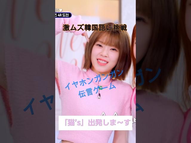 激ムズ韓国語に挑戦するコトコさん　#kotoko #kpop #unis #uniskotoko