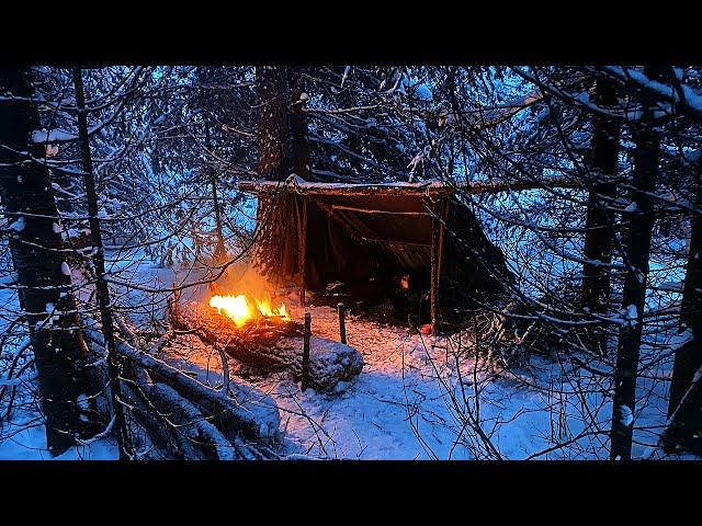 Одиночная ночевка с собакой, без палатки, в снежном лесу,  бушкрафт / Overnight in the forest