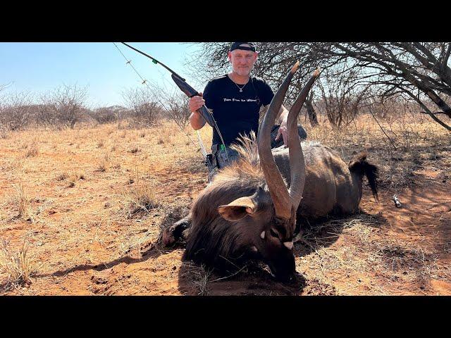 Nyala bull with a longbow - Tales From the Willows - Sofala Safaris - Traditional Bowhunting