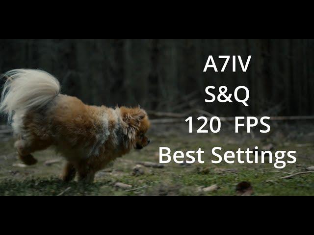 SONY A7IV -How to set up  S&Q Mode - Slow Motion -  120p in 2 Minutes