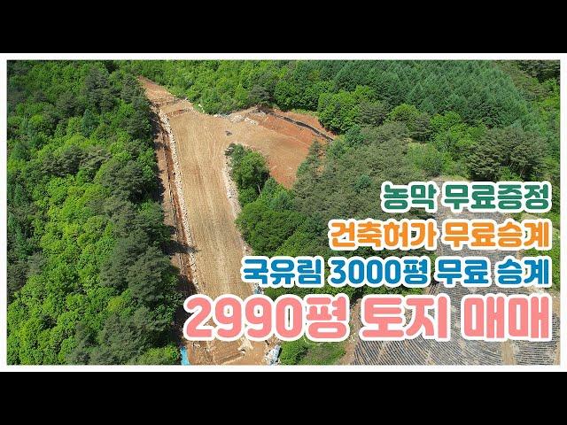 (매도인 변심으로 매매 보류)농막과 국유림 3000평이 덤인데 건축도 가능한, 약 2990평 토지를 소개합니다~!