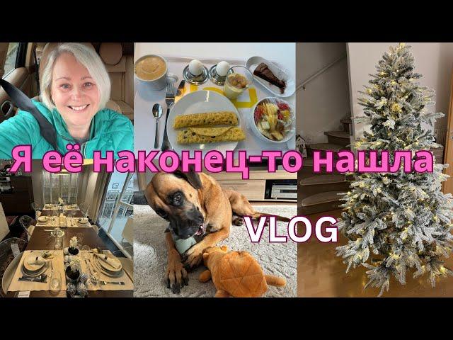 VLOGШопинг в IKEA/Новые игрушки/Завтрак/Кухня мечта/Что купили/Наша новая ёлка/Очень довольна