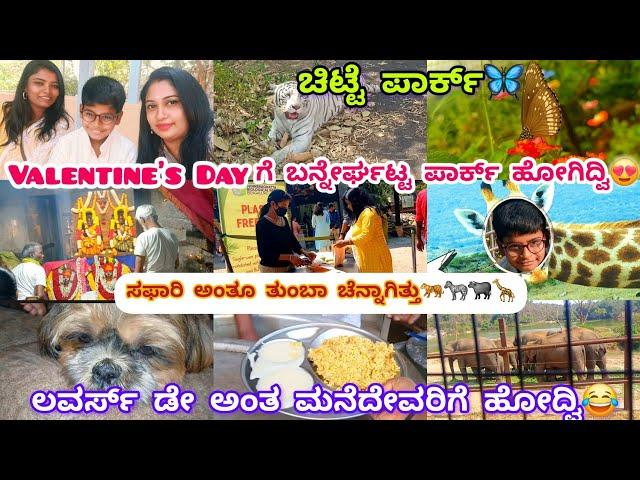 281vlog...Valentine's Dayಗೆ ಶಿವ ಒಂದು ದಾರಿ ನಾನೊಂದು ದಾರಿ/ನಮ್ಮಕ್ಕ ಜೊತೆ ಬನ್ನೇರುಘಟ್ಟ ಸಫಾರಿ/ಮನೆ ದೇವರ