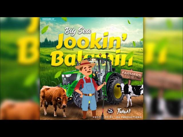 BIG SEA - JOOKIN BALAMIN - FARMERS RIDDIM,G6 PRODUCTIONS