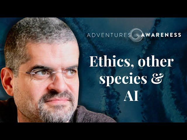 Bernardo Kastrup on ethical relationships to other species and AI