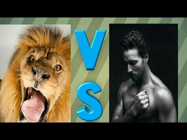 Lion Vs Man Funny Talk