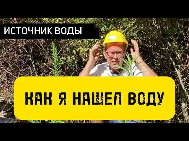 Как я нашел Родник у себя на участке земли | И что с ним стало?