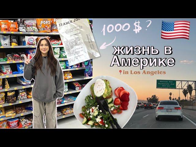 ВЛОГ моя жизнь в Америке  магазины, цены, продукты