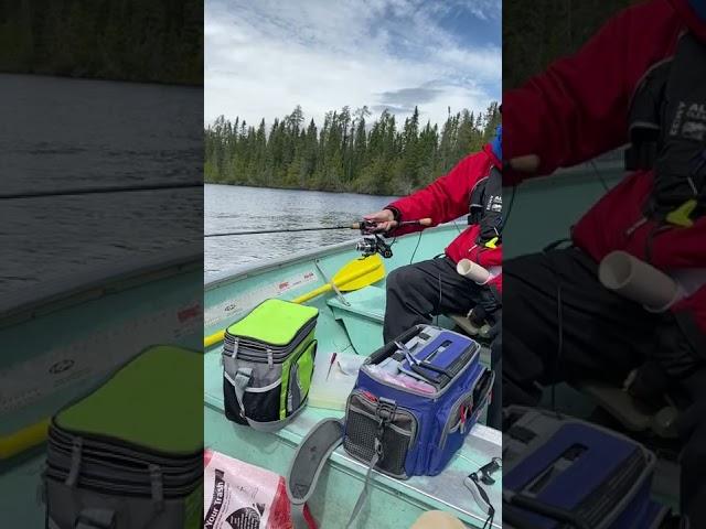 MPOWR fishing. electric reels for people with disabilities. Canadian walleye fishing