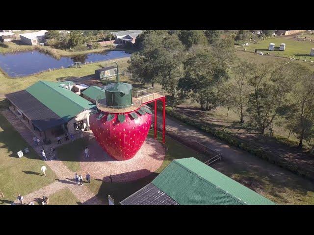 Redberry Farm near George