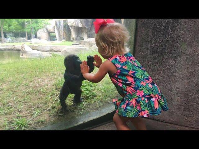 Little Friends Have Adorable Encounters With Animals At The Zoo