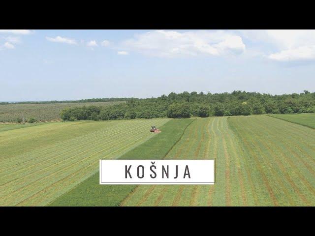 BOJE ZEMLJE Košnja