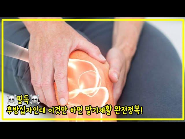 후방십자인대 말기재활운동