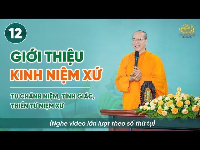 Giới thiệu kinh Niệm Xứ | Niệm thân - Thiền Tứ Niệm Xứ | Bài số 12