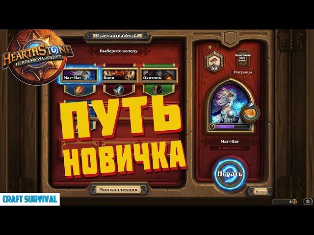 Путь новичка Hearthstone.  Учимся играть в стандартном режиме с нуля