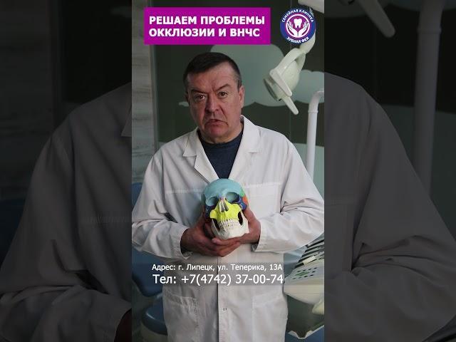 Как сберечь ВНЧС? Врач-гнатолог Александр Хамчишкин