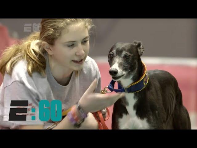 E:60 – Meet Spitfire, ‘the Michael Jordan of Dogs’