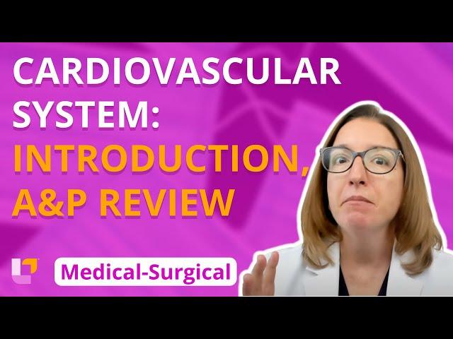 Cardiovascular System: Introduction, Anatomy & Physiology Review - Medical-Surgical | @LevelUpRN