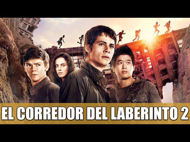 EL CORREDOR DEL LABERINTO: LAS PRUEBAS | RESEÑA (DEMASIADOS ERRORES)