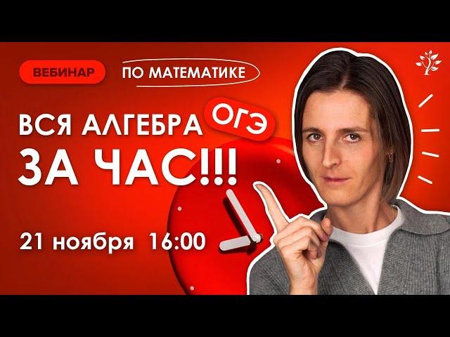 ВСЯ алгебра ОГЭ за час. Вебинар | Математика ОГЭ