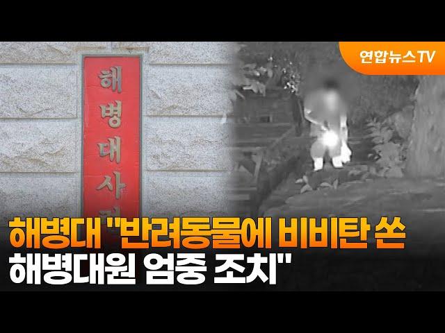 해병대 "반려동물에 비비탄 쏜 해병대원 엄중 조치" / 연합뉴스TV (YonhapnewsTV)