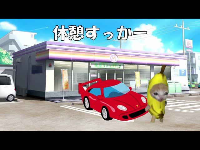 【猫ミーム】車好きあるある