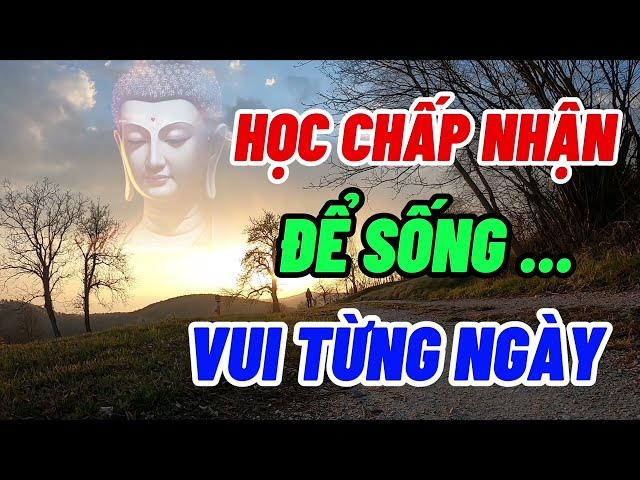 Học Cách Bình Thản Để Sống Vui Từng Ngày -  Suy Ngẫm Sự Đời - Chánh Pháp Tuệ Giác