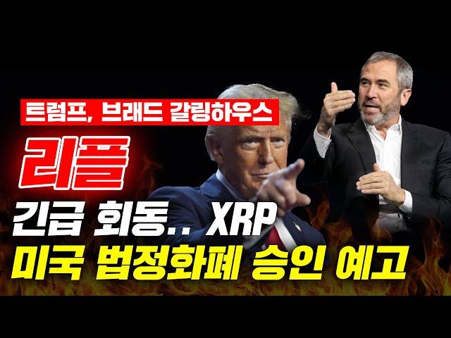 트럼프, 브래드 갈링하우스 리플 긴급 회동.. XRP 미국 법정화폐 승인 예고 #리플 #리플전망 #리플코인