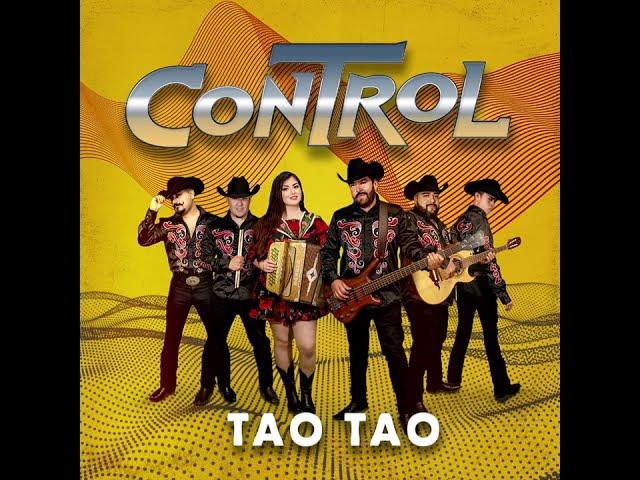 CONTROL - TAO TAO