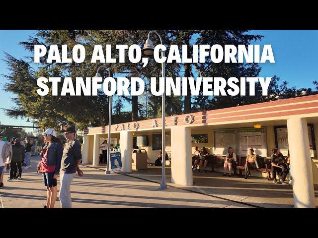 [4K] Walking PALO ALTO, CALIFORNIA & STANFORD UNIVERSITY (September 7, 2024)