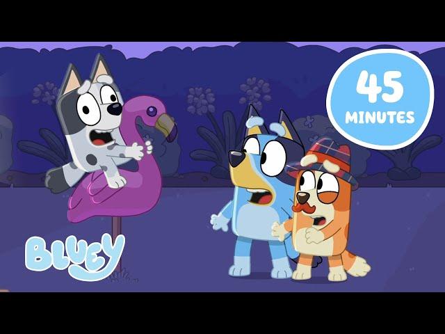 LIVE: Bedtime Moments with Bluey   |  Best Bluey Episodes and Moments | Bluey