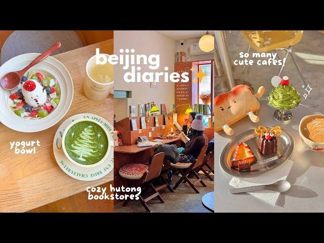 life in beijing ️ cafe hopping, snowman yogurt bowl  hutong bookstores, osmanthus latte 