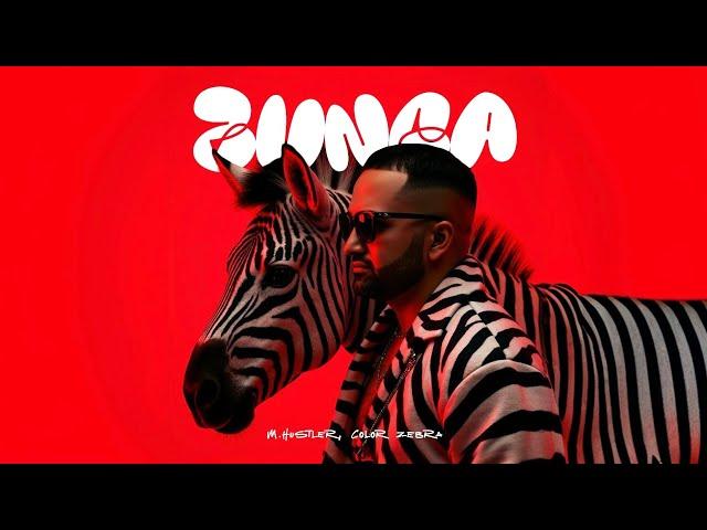 M.Hustler, Color Zebra - Zunga (Extended Mix)