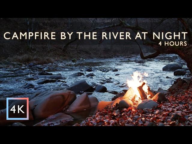 4 h - Campfire by the River at Night | Forest Life Sounds | Owls | Nature Sounds | ASMR Nature | 4K