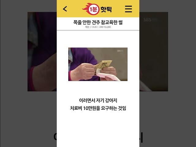 목줄 안한 견주 참교육한 썰ㅋㅋㅋㅋ