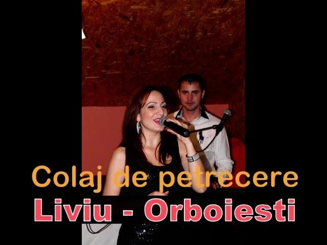 Melodii de petrecere de ascultat la gratar-Cristina si Liviu de la Orboiesti melodii de spritz