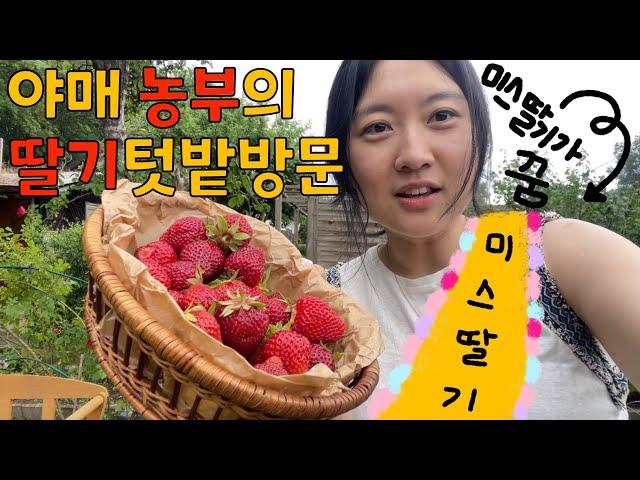 독일️주말농장 텃밭 갖는 법 | 우중캠핑 뺨치는 그릴파티 | 딸기 풍년 수확