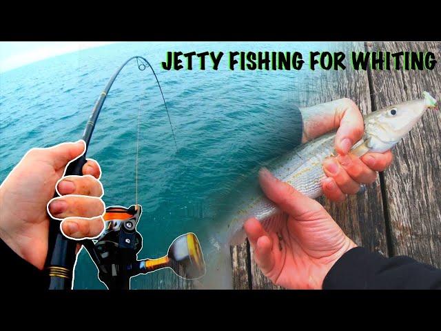 JETTY FISHING FOR WHITING