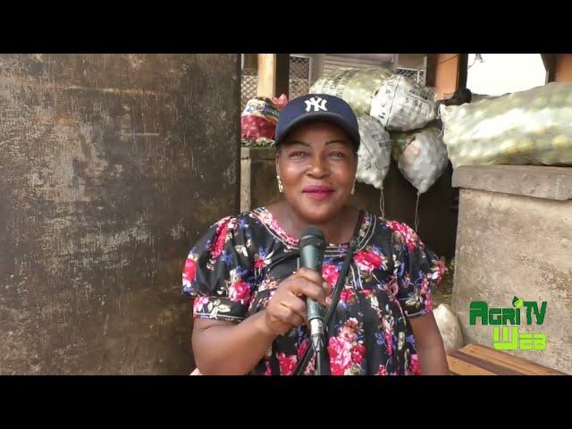 Pourquoi les safous (prunes) se vendent au Cameroun en février au lieu de juin
